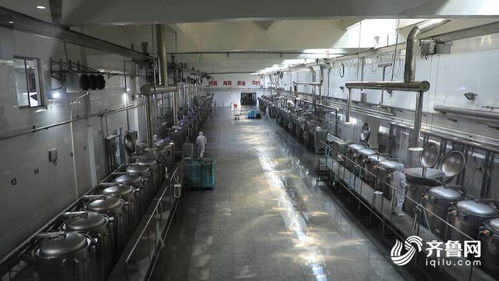 潍坊市坊子区食品安全产业联盟 技术开发助力企业质效提升，定向解难题200多项